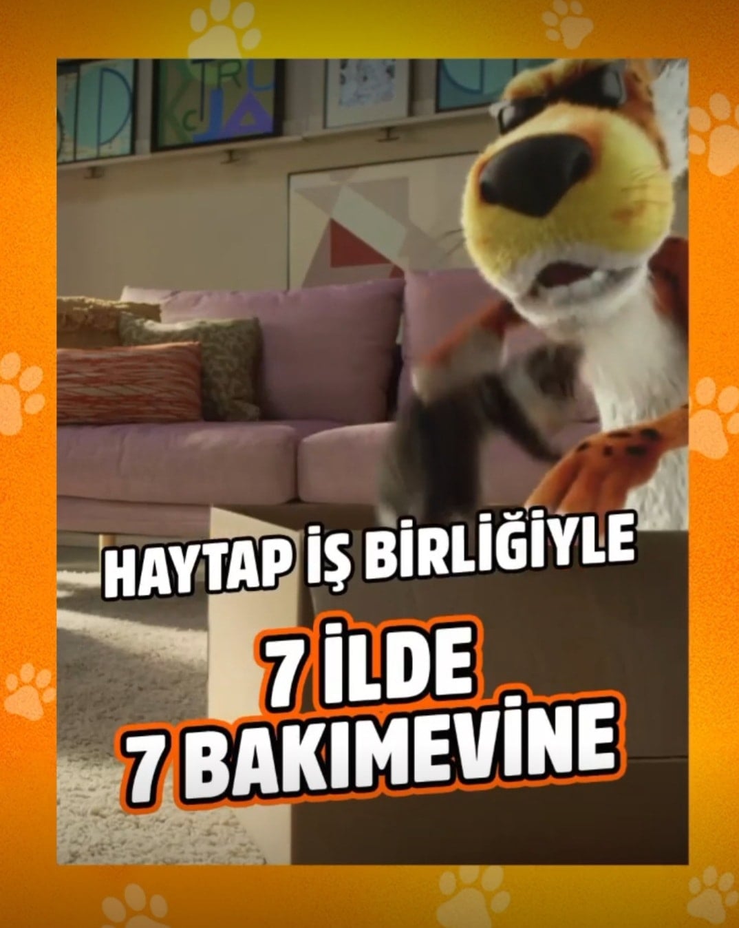 Cheetos 7 İlde 7 Bakımevi Projesi